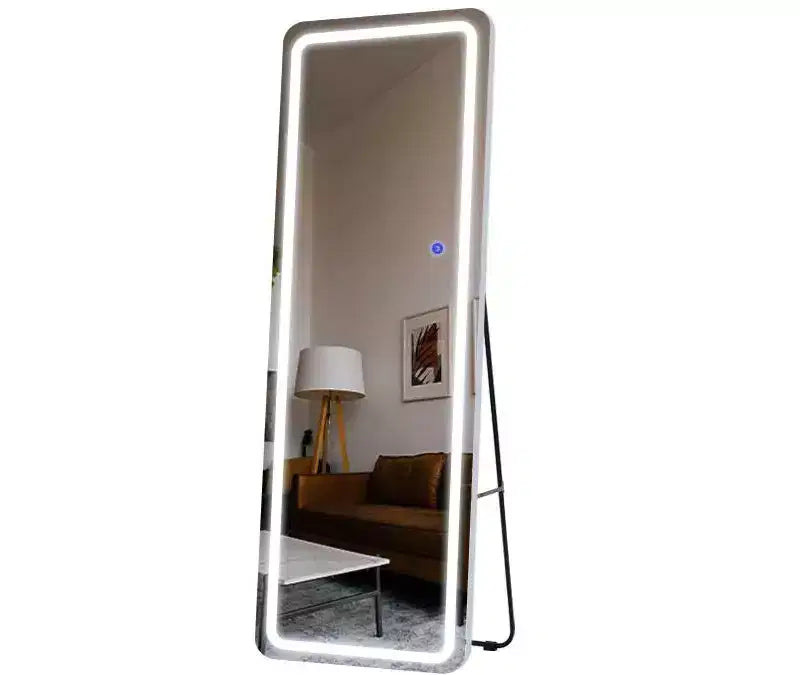 PexFix 63x16 Full-body Mirror LED Vanity Mirror with Lights Silver Mirror.