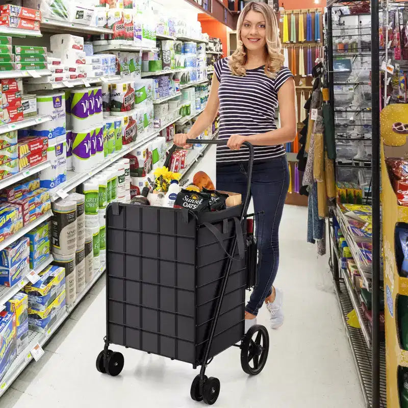 Chariot de courses utilitaire pliable avec double panier et doublure résistante à l'eau