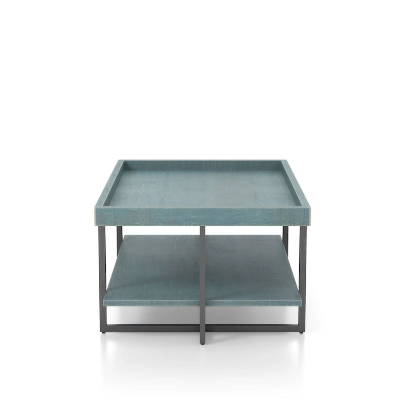 Table basse Damara Transitional de 47 pouces en métal avec 1 étagère par Furniture of America